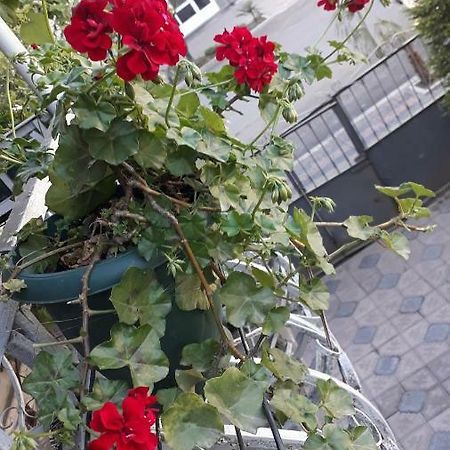 Homestay Izolda Batumi Eksteriør bilde