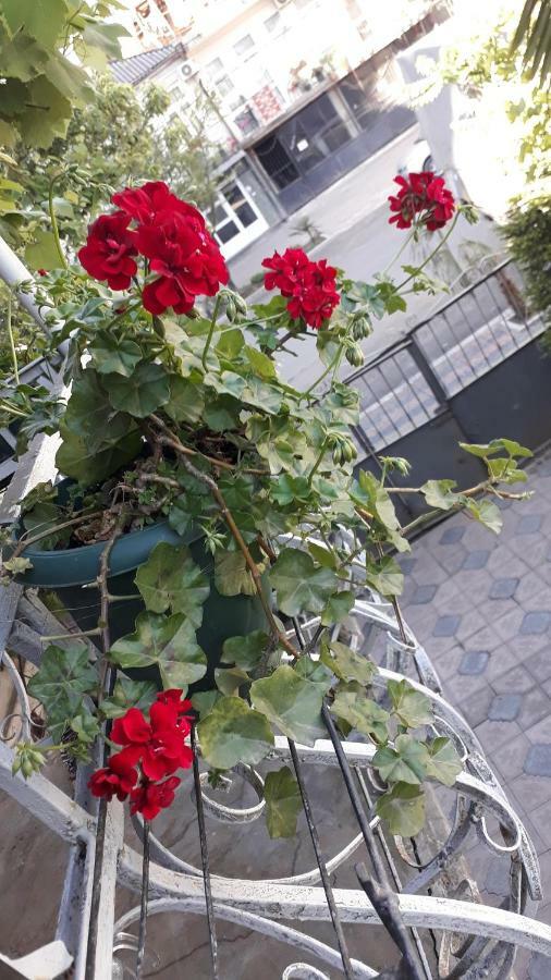 Homestay Izolda Batumi Eksteriør bilde